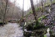 42 Oltre la grotta la sorgente ....ancora oltre salendo..